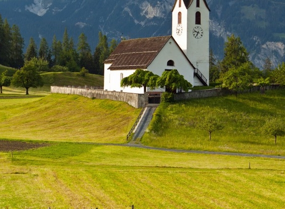粉象的优惠券不能领