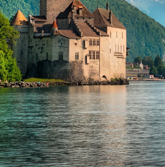 象牙果粉是什么东西