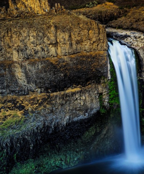 粉象生活下载app