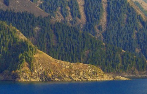 粉象生活的产品