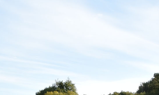 粉象生活传销么