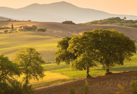 潮州粉象生活如何使用