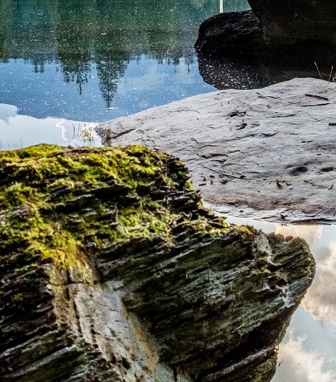 粉象生活的大礼包