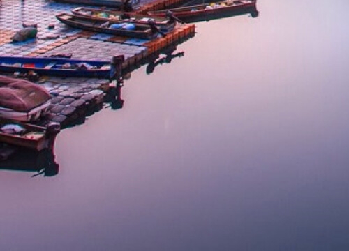 粉象生活你注册