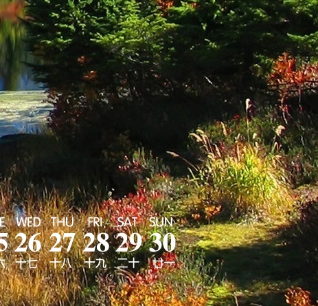 粉象生活怎么赚钱的