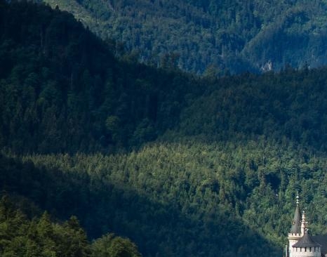 粉象生活app闪退