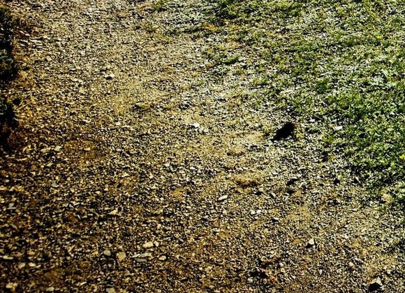 粉象生活邀请码086148