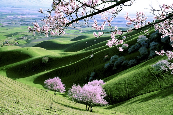 粉象生活邀请码