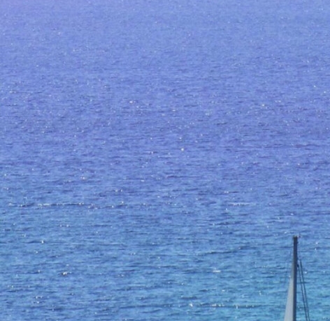 粉象生活和花花日记哪个好用