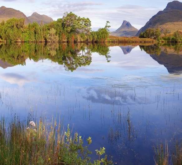 粉象生活的店铺名字