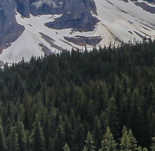 花生日记 好省 粉象生活