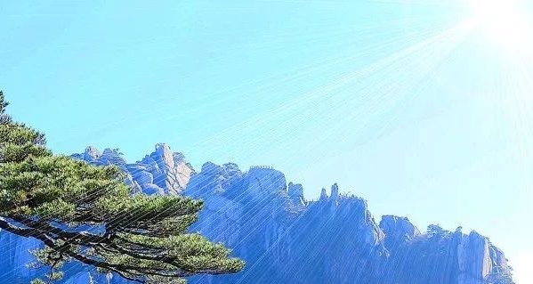 舟山正规粉象生活