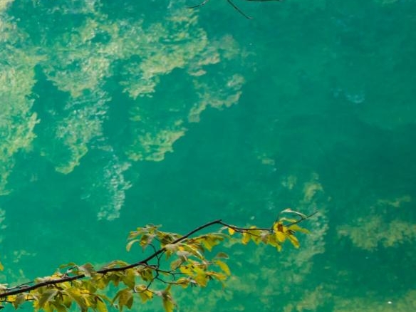 粉象生活要怎样推广