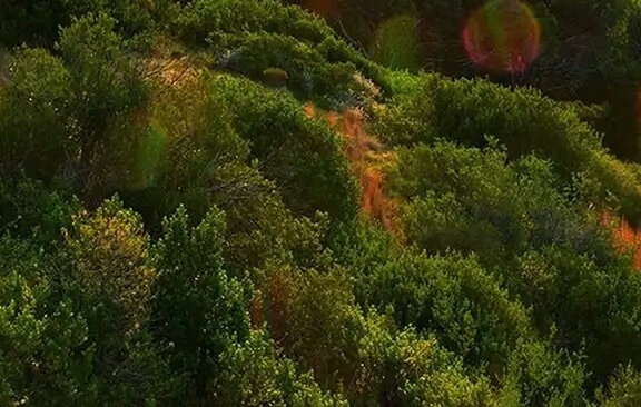 粉象生活现在可以用了吗