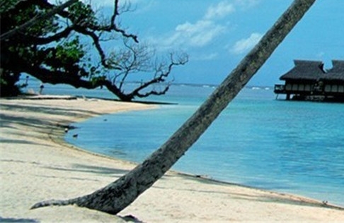 粉象生活未结算收益怎么提现