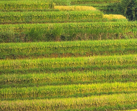 粉象生活怎么删除新的活动
