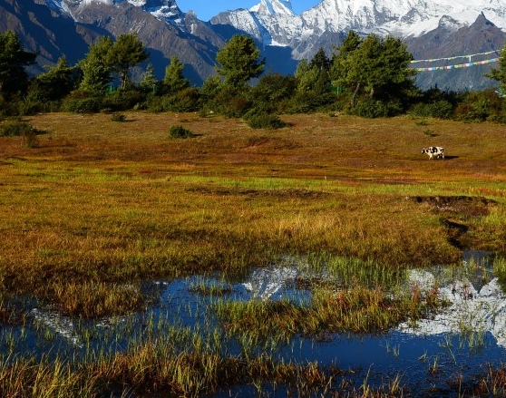 一淘和粉象生活哪个返利高