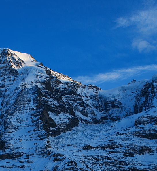 粉象生活邀请码怎么注销