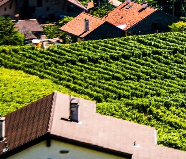 福建高端粉象生活邀请人