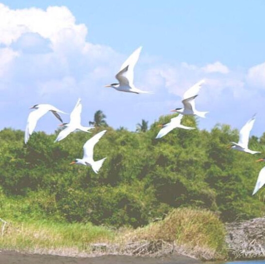 金昌生活木制品