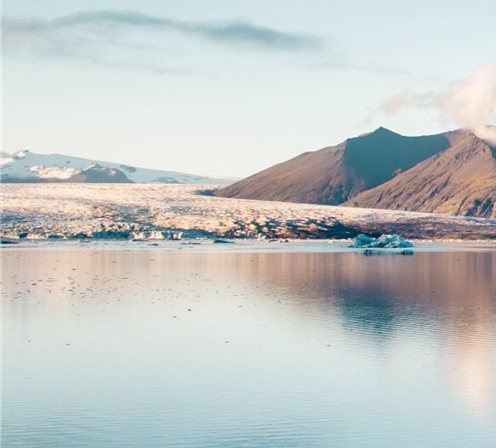 粉象生活必须要买会员吗