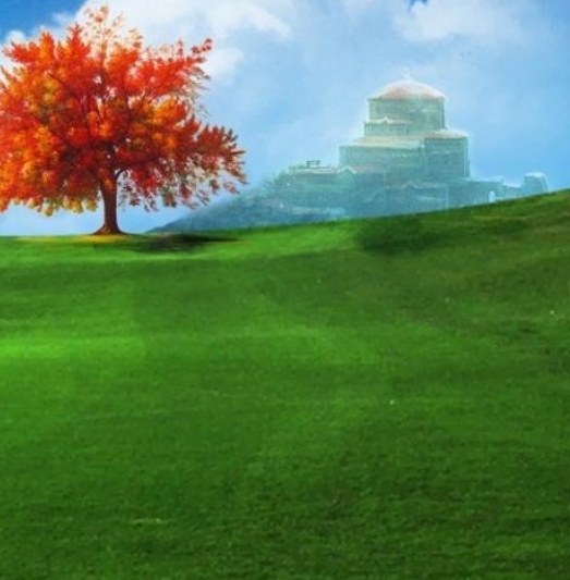 粉象生活api开发