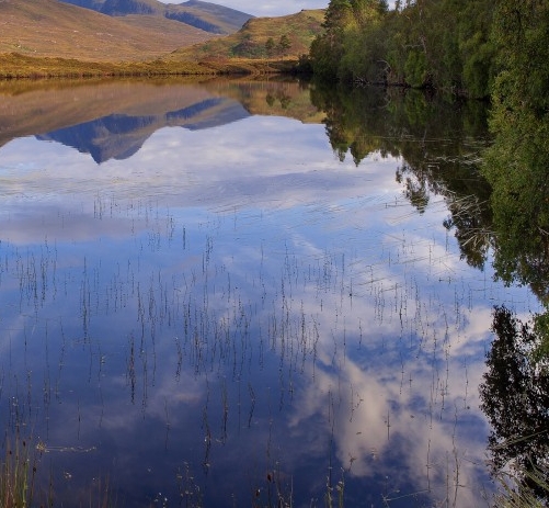 粉象生活app免费版粉象生活