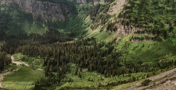 粉象生活粉丝怎么增加