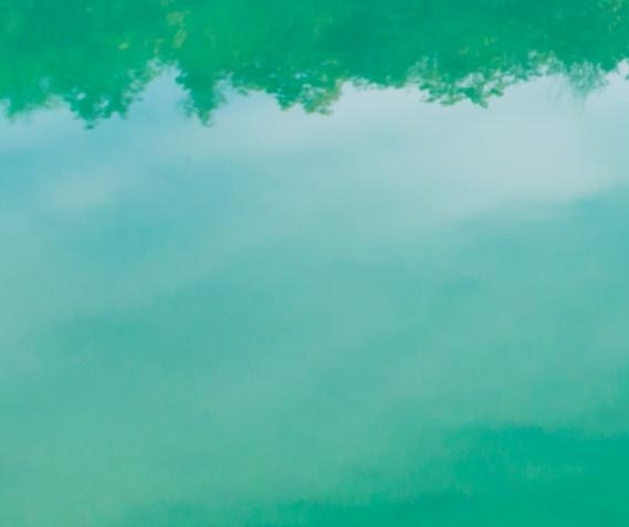 粉象生活发什么红包