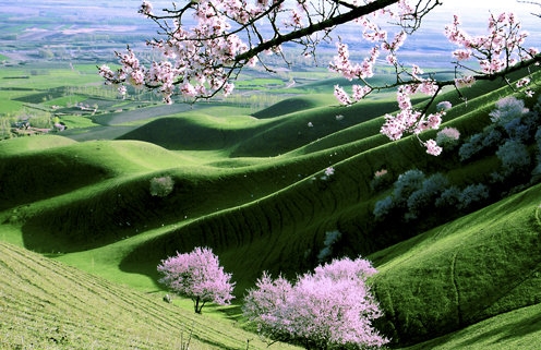 粉象生活怎么赚钱