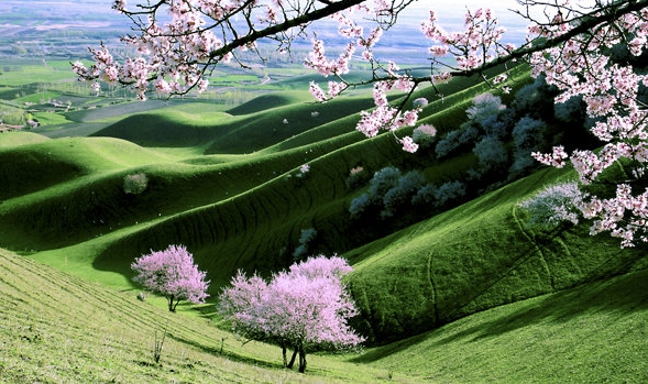 粉象生活的返利什么时候给