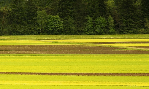 粉象生活怎么取消关注