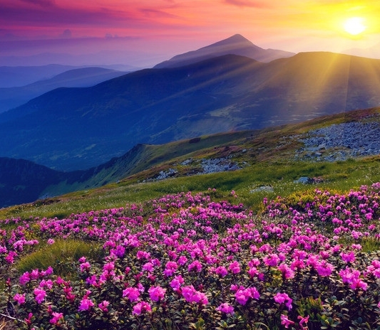 粉象生活不用邀请码行吗