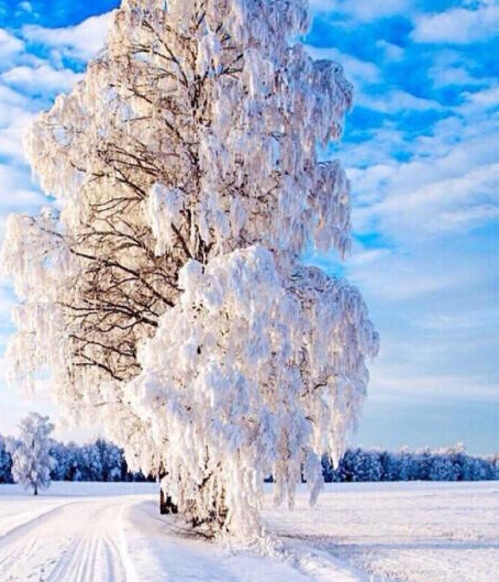 怎么注销粉象生活帐户
