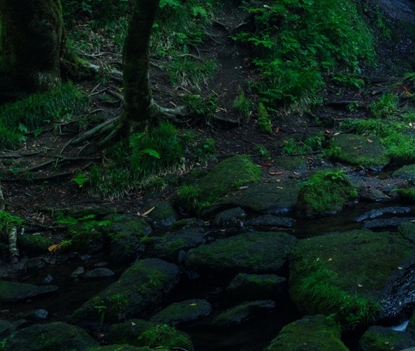 汕头粉象生活积分