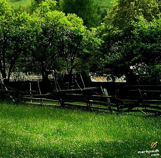 粉象生活怎么买东西