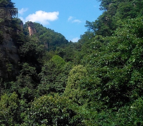 粉象生活可以赚钱吗