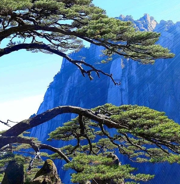 粉象生活里的软件是什么