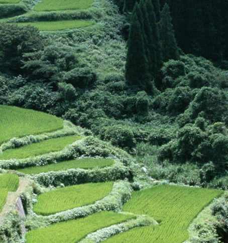 粉象生活创始人邀请码34E9JS