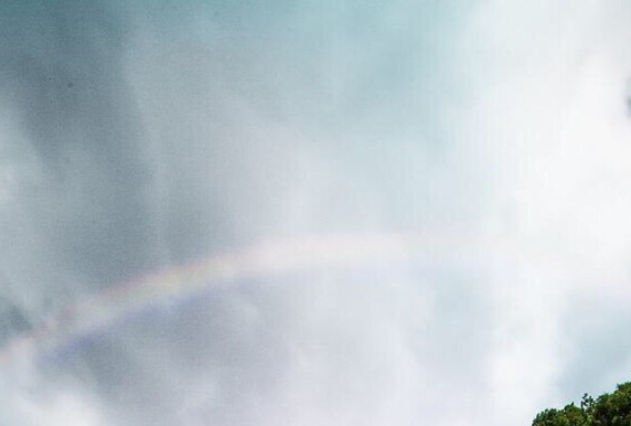 粉象生活授权给谁