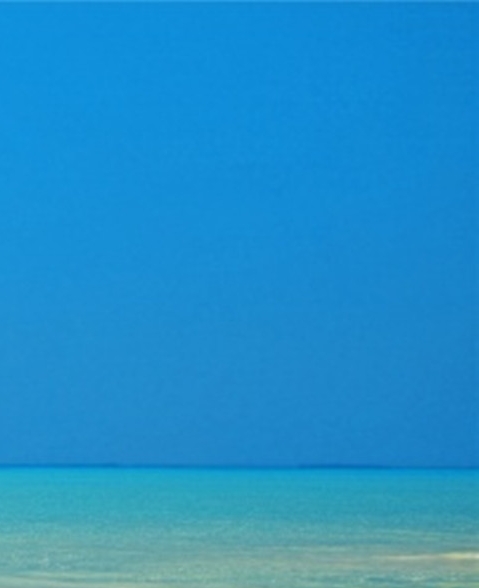 粉象生活怎么开店注册