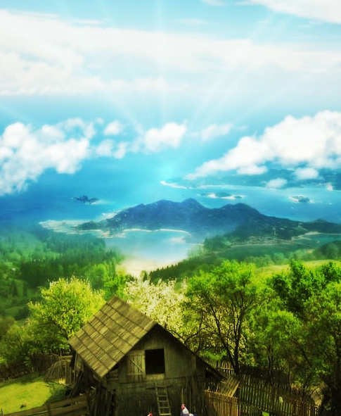 粉象生活是什么?