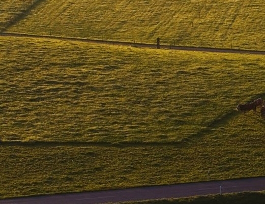 粉象为何显示可提现0