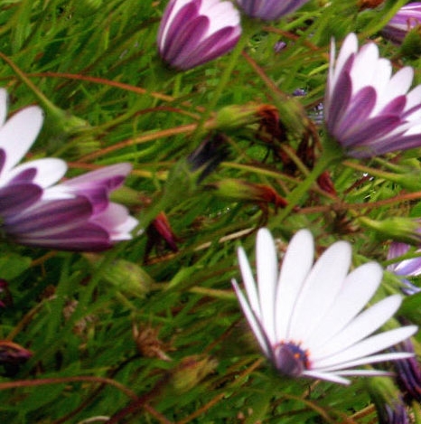 粉象生活账号注销后怎么注册