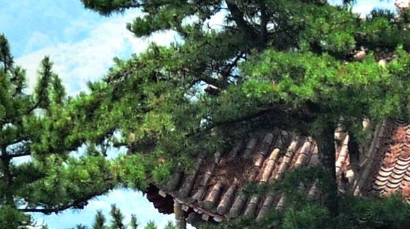 粉象生活可以赚钱吗