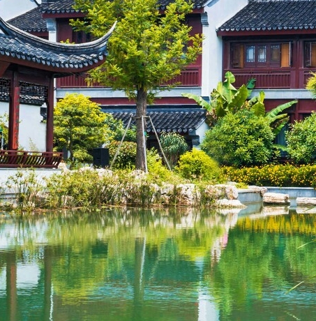 粉象生活轻创业