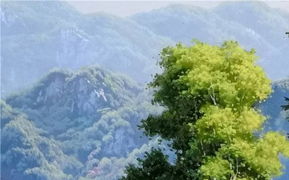 粉象生活邀请码