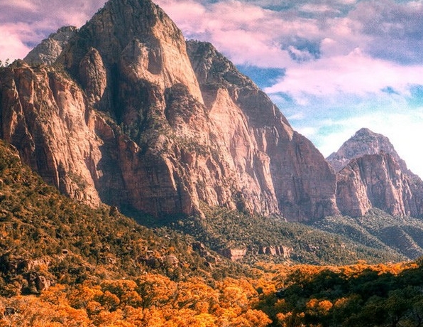 礼享生活app是真是假