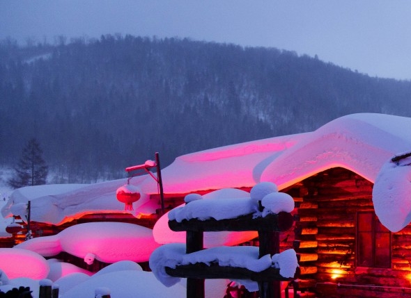 粉象生活下载app