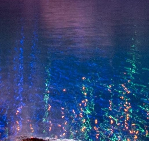 河南五谷渔粉加盟